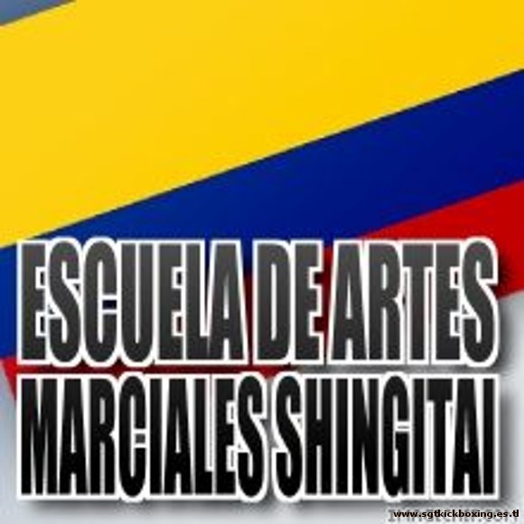 ESCUELA DE ARTES AMRCIALES SHINGITAI  COLOMBIA