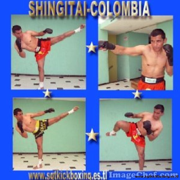 SHINGITAI - COLOMBIA