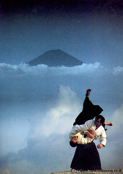 AIKIDO - ARTES MARCIALES