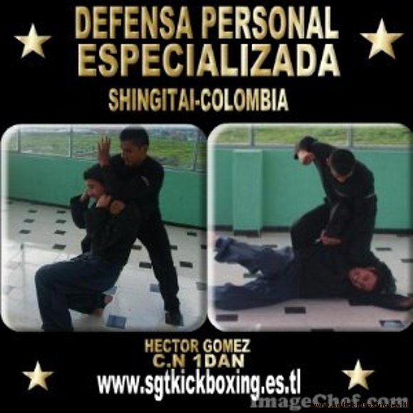 DEFENSA PERSONAL ESPECIALIZADA