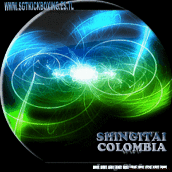 WWW.SGTKICKBOXING.ES.TL