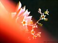 PEQUE&Ntilde;A FLOR