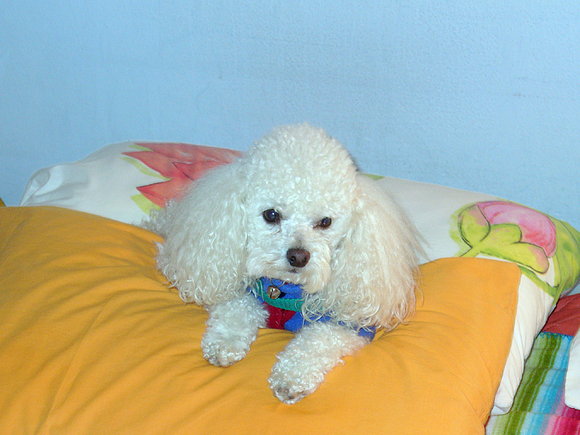 mi querido amigo!!!!ROCCO!!!!!!