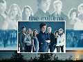 Los cullen