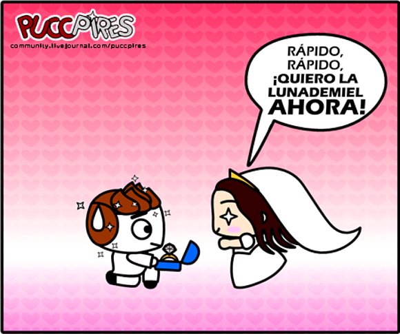 Boda