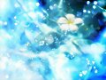 chobits