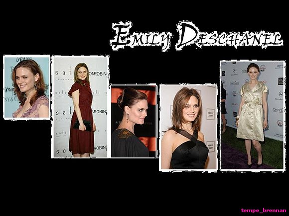 Emily Deschanel as Temperance Brennan in  bones