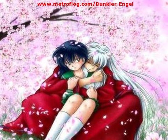 *SEMANA DE INUYASHA*