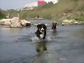 ahi van las dos!!