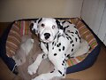 mI pErRiTaAa