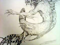 mi dragon chino raro