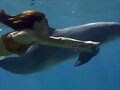 Nadando con delfines