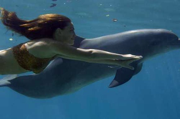 Nadando con delfines