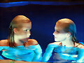Las sirenas mas lindas (L)