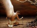 EL &Aacute;NGEL CA&Iacute;DO