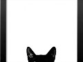 A MI GATITO
