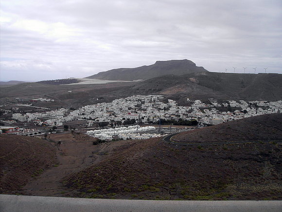 canariona