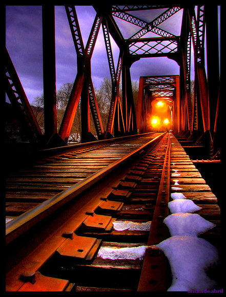 El tren
