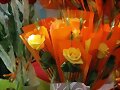 Sant Jordi