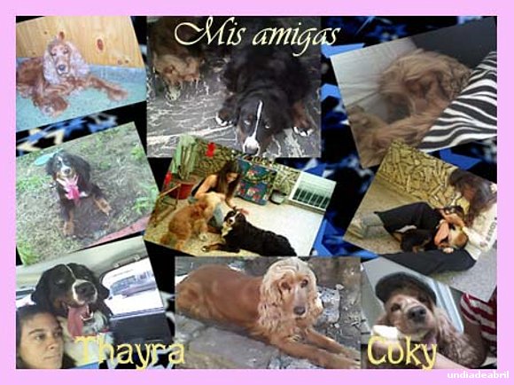 Día del animal