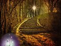 POR EL CAMINO (YO CANTO)