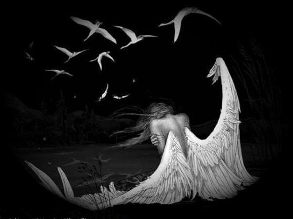 Con las alas del alma
