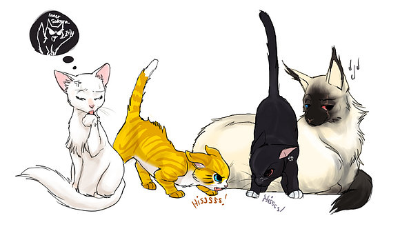 naruto cat