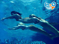 sirenas para siempre