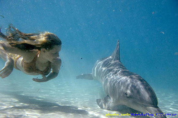 nadando kn un delfin :))