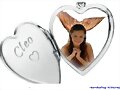 Cleo dentro del collar de corazon xD