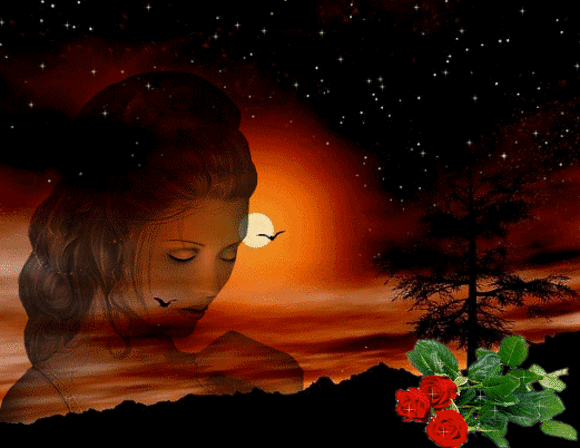 LA NOCHE