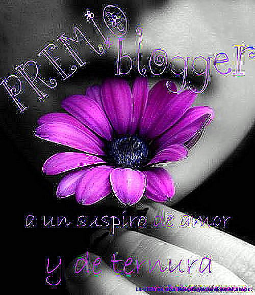 PREMIO BLOGGER
