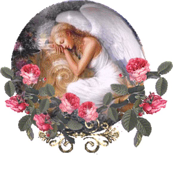 ROSA.....................