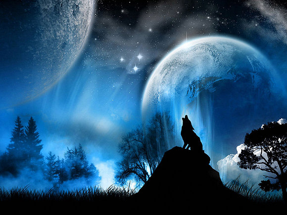 LA LUNA Y EL LOBO
