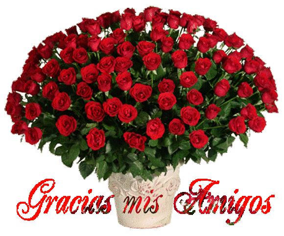 GRACIAS Y MIS MEJORES DESEOS......