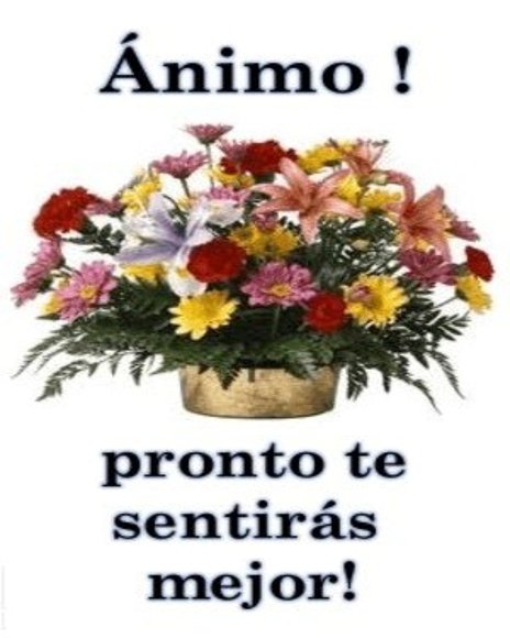 PARA MONIX CON TODO MI CARIÑO.... ANIMO CIELO!!!!!