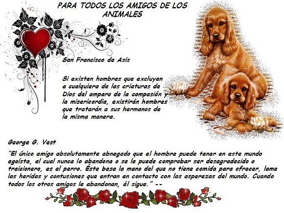 PARA TODOS CON CARIÑO
