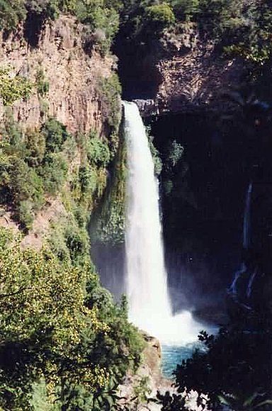 EL VELO DE LA NOVIA ( leyenda guarani)