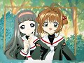 sakura y tomoyo las dos an sido muy buenas amigas