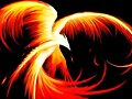 fenix