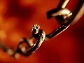 cadenas rotas
