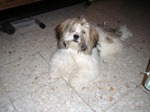 Rufillo 4