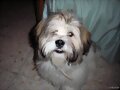 Rufo 3
