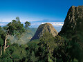 Parque Nacional de Garajonay, la Gomera