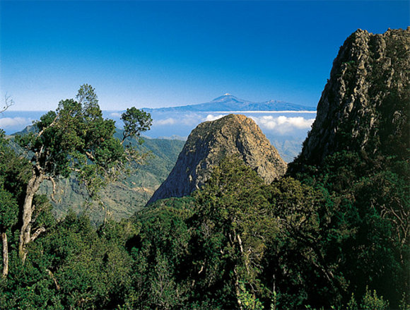 Parque Nacional de Garajonay, la Gomera