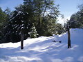 Subida al volc&aacute;n Villarrica