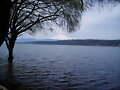 Lago y volc&aacute;n Villarrica (Haiga)