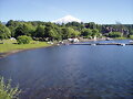 Lago Villarrica