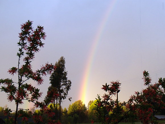 Arco iris sobre el lago Villarrica
