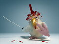 Pollo Ninja